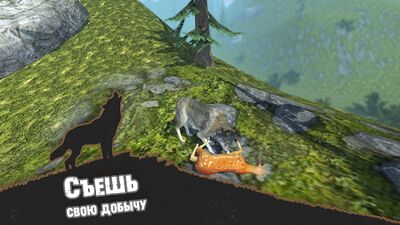 Скачать взломанную Симулятор Волка - Звери [Много монет] MOD apk на Андроид