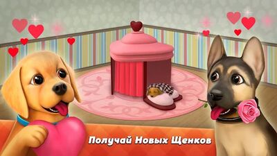 Скачать взломанную DogTown:собаки,игры,зоомагазин [Мод меню] MOD apk на Андроид