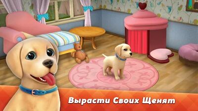 Скачать взломанную DogTown:собаки,игры,зоомагазин [Мод меню] MOD apk на Андроид