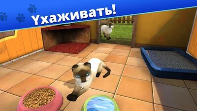 Скачать взломанную Pet World - приют для животных [Много монет] MOD apk на Андроид
