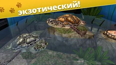 Скачать взломанную Pet World - приют для животных [Много монет] MOD apk на Андроид