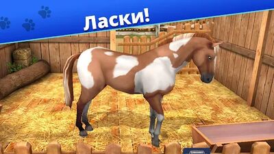 Скачать взломанную Pet World - приют для животных [Много монет] MOD apk на Андроид