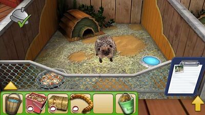 Скачать взломанную Pet World - приют для животных [Много монет] MOD apk на Андроид