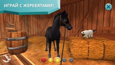 Скачать взломанную Star Stable Horses [Много монет] MOD apk на Андроид