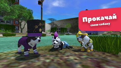 Скачать взломанную Симулятор Собаки - Про Зверей [Много монет] MOD apk на Андроид