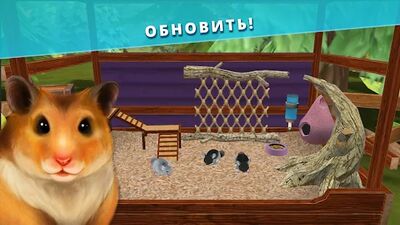 Скачать взломанную Pet Hotel  [Бесплатные покупки] MOD apk на Андроид