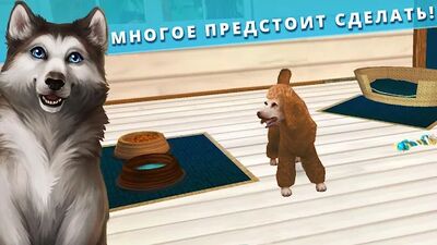 Скачать взломанную Pet Hotel  [Бесплатные покупки] MOD apk на Андроид