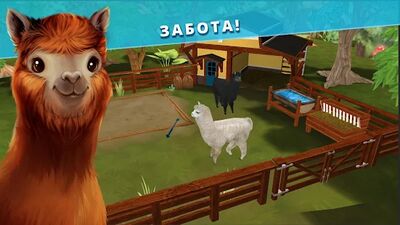 Скачать взломанную Pet Hotel  [Бесплатные покупки] MOD apk на Андроид