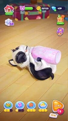 Скачать взломанную Catapolis - Игра Тамагочи Кот [Бесплатные покупки] MOD apk на Андроид