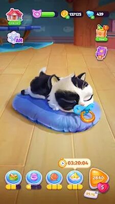 Скачать взломанную Catapolis - Игра Тамагочи Кот [Бесплатные покупки] MOD apk на Андроид