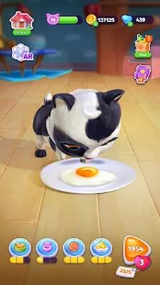 Скачать взломанную Catapolis - Игра Тамагочи Кот [Бесплатные покупки] MOD apk на Андроид