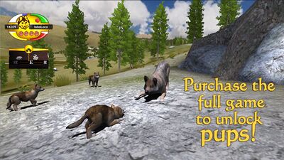 Скачать взломанную WolfQuest [Много денег] MOD apk на Андроид