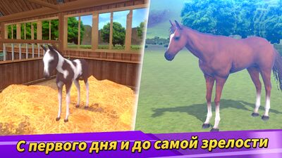 Скачать взломанную Derby Life [Бесплатные покупки] MOD apk на Андроид