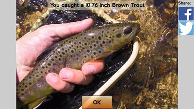 Скачать взломанную Fly Fishing Simulator HD [Бесплатные покупки] MOD apk на Андроид