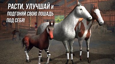 Скачать взломанную Photo Finish Horse Racing [Много денег] MOD apk на Андроид