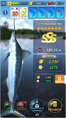 Скачать взломанную Fishing Season : River To Ocean [Много денег] MOD apk на Андроид