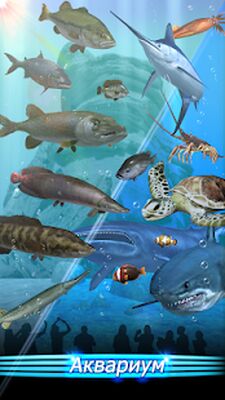 Скачать взломанную Fishing Season : River To Ocean [Много денег] MOD apk на Андроид