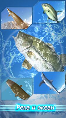 Скачать взломанную Fishing Season : River To Ocean [Много денег] MOD apk на Андроид