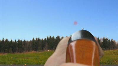 Скачать взломанную Clay Hunt FREE [Много монет] MOD apk на Андроид