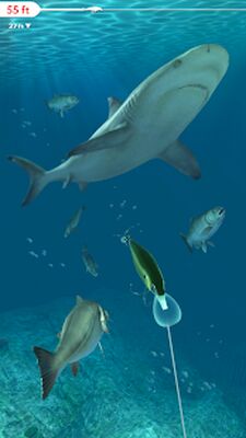 Скачать взломанную Rapala Fishing - Daily Catch [Много монет] MOD apk на Андроид