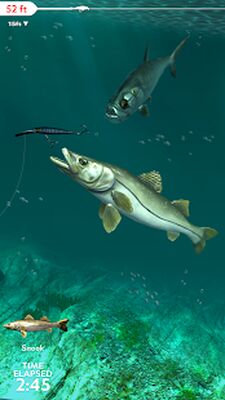 Скачать взломанную Rapala Fishing - Daily Catch [Много монет] MOD apk на Андроид