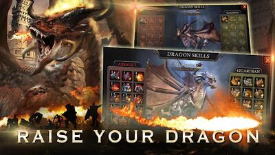 Скачать взломанную Dragon Reborn [Много денег] MOD apk на Андроид