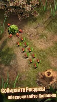 Скачать взломанную The Ants: Underground Kingdom [Мод меню] MOD apk на Андроид