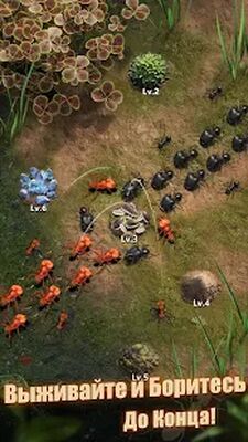 Скачать взломанную The Ants: Underground Kingdom [Мод меню] MOD apk на Андроид