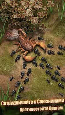 Скачать взломанную The Ants: Underground Kingdom [Мод меню] MOD apk на Андроид