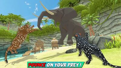 Скачать взломанную Wild Cougar Survival Sim 3D: New Animal Sim Games [Много монет] MOD apk на Андроид