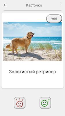 Скачать взломанную Собаки - Фото-тест про популярные породы собак [Много монет] MOD apk на Андроид