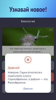 Скачать взломанную Мозго Драчка [Много монет] MOD apk на Андроид