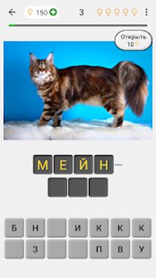 Скачать взломанную Кошки: Фото-викторина про популярные породы кошек [Много денег] MOD apk на Андроид