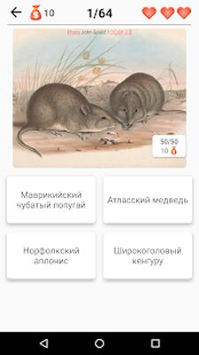 Скачать взломанную Вымершие животные и исчезающие виды! [Бесплатные покупки] MOD apk на Андроид