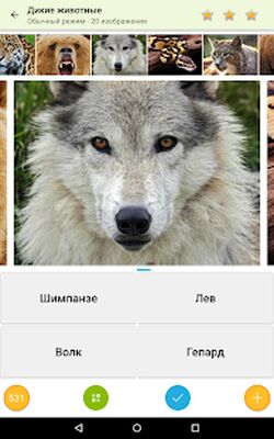 Скачать взломанную Фото Викторина - Общая Игра [Много денег] MOD apk на Андроид