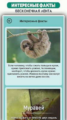 Скачать взломанную География мира : викторина [Много монет] MOD apk на Андроид