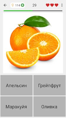 Скачать взломанную Фрукты и овощи, ягоды и орехи - Фото-викторина [Бесплатные покупки] MOD apk на Андроид