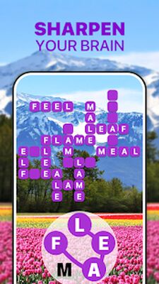Скачать взломанную Word Calm - Relax and Train Your Brain [Много денег] MOD apk на Андроид