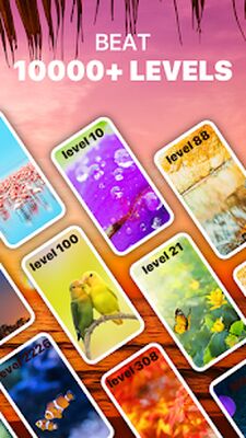 Скачать взломанную Word Calm - Relax and Train Your Brain [Много денег] MOD apk на Андроид