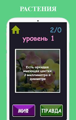 Скачать взломанную Правда или Ложь [Много денег] MOD apk на Андроид