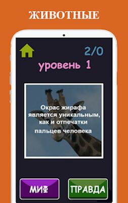 Скачать взломанную Правда или Ложь [Много денег] MOD apk на Андроид