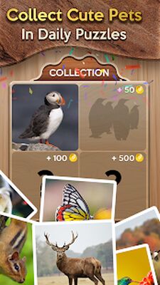Скачать взломанную Игра Wordy Cross® Word Connect [Много денег] MOD apk на Андроид