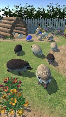Скачать взломанную Hedgehog Friends [Много монет] MOD apk на Андроид