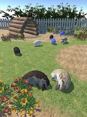 Скачать взломанную Hedgehog Friends [Много монет] MOD apk на Андроид