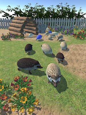 Скачать взломанную Hedgehog Friends [Много монет] MOD apk на Андроид