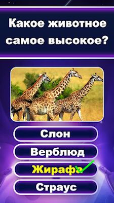 Скачать взломанную Викторина - Игра в вопросы и ответы на вопросы [Мод меню] MOD apk на Андроид