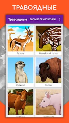 Скачать Как рисовать животных. Пошаговые уроки рисования [Без рекламы] RUS apk на Андроид