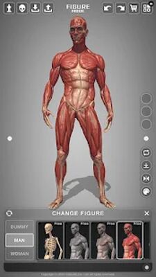 Скачать Анатомия действий Pro [Unlocked] RUS apk на Андроид