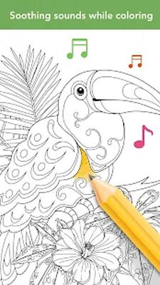 Скачать Colorfit: Drawing & Coloring [Unlocked] RU apk на Андроид