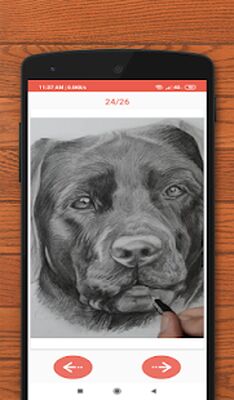 Скачать Как рисовать животных [Без рекламы] RU apk на Андроид